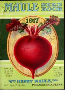 Beet. The Maule seed book (1917)