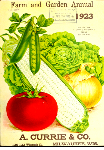 Vegetables. A. Currie and Co. Farm and Garden Annual (1923). Free illustration for personal and commercial use.
