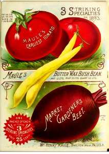 Vegetables. 1893 Maule's seed catalogue.. Free illustration for personal and commercial use.