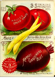 Vegetables. 1893 Maule's seed catalogue.