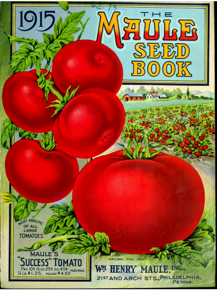 TOMATOES. The 1915 the Maule seed book.