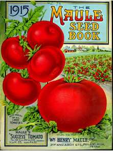 TOMATOES. The 1915 the Maule seed book.