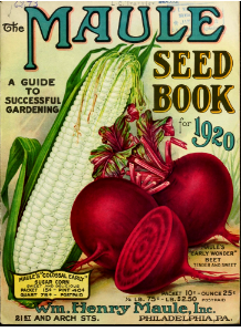 Vegetables. The Maule seed book for 1920.. Free illustration for personal and commercial use.