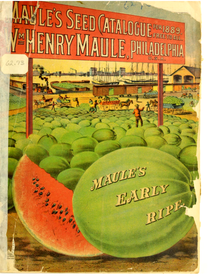 Watermelons. Maule's seed catalogue for 1889.