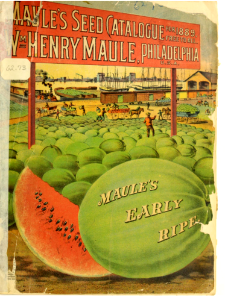Watermelons. Maule's seed catalogue for 1889.