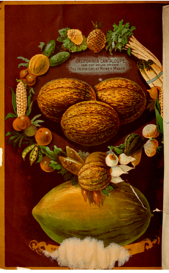melon cantaloupe. Germain Seed and Plant Co. Los Angeles, Calif. (1902).