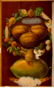 melon cantaloupe. Germain Seed and Plant Co. Los Angeles, Calif. (1902).