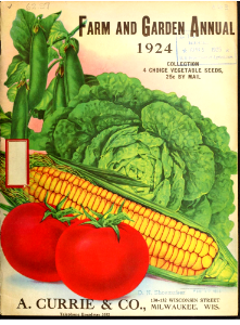 Vegetables - Lettuce, Corn, Tomato, Pea. A. Currie & Company, 1924.. Free illustration for personal and commercial use.