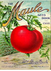 Earliest of all tomato. The Maule seed book for 1908