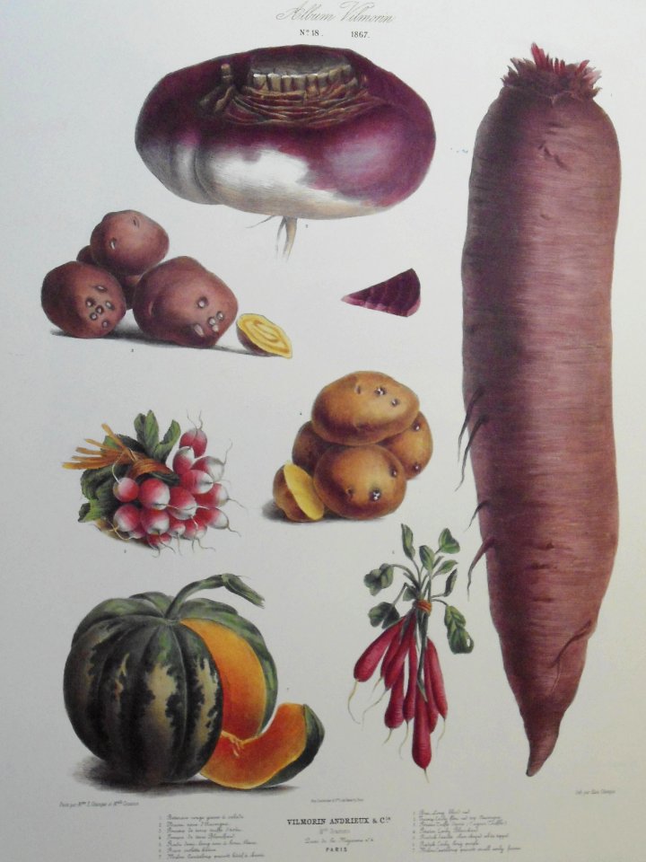 vegetables
