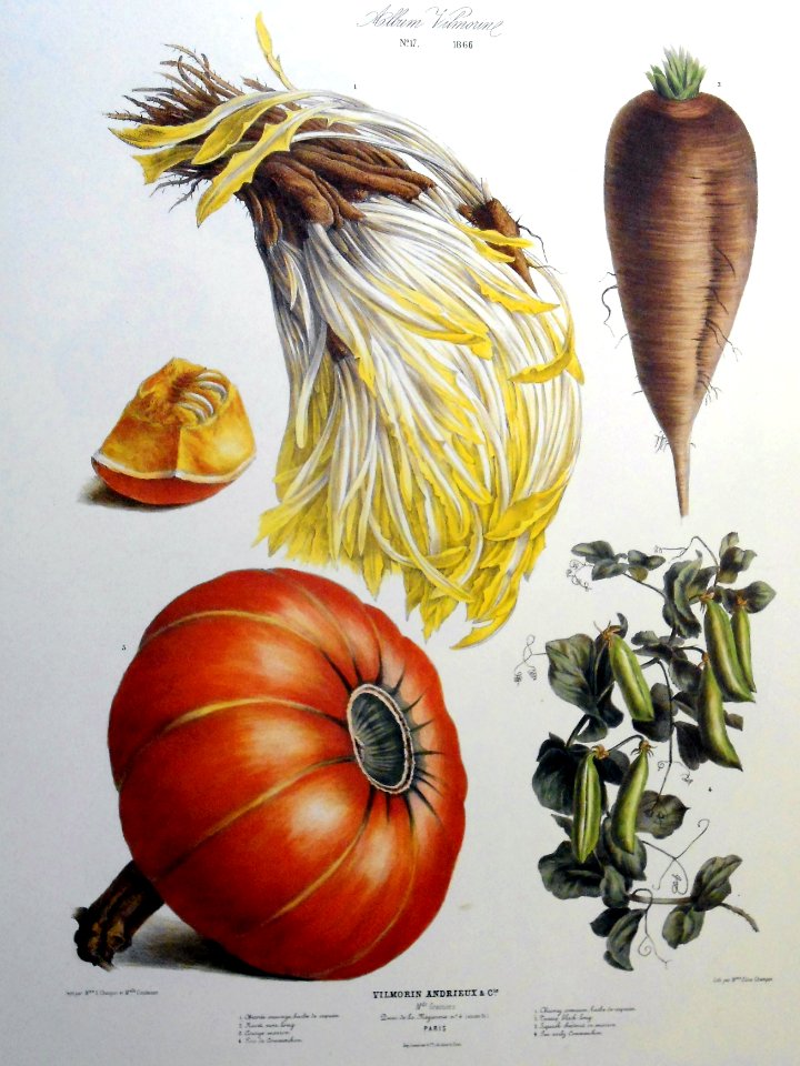 vegetables
