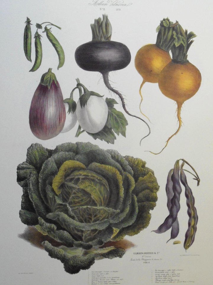 vegetables