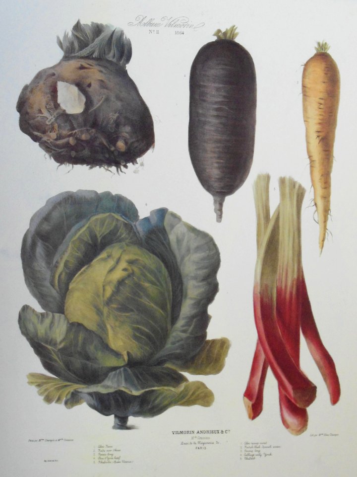 Album Vilmorin. Le Jardin Potager / The Vegetable Garden (1872)