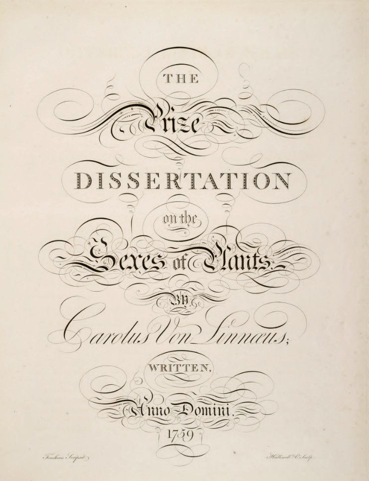 Thornton, R.J., New illustration of the sexual system of Carolus von Linnaeus and the temple of Flora, or garden of nature, t. (1807)
