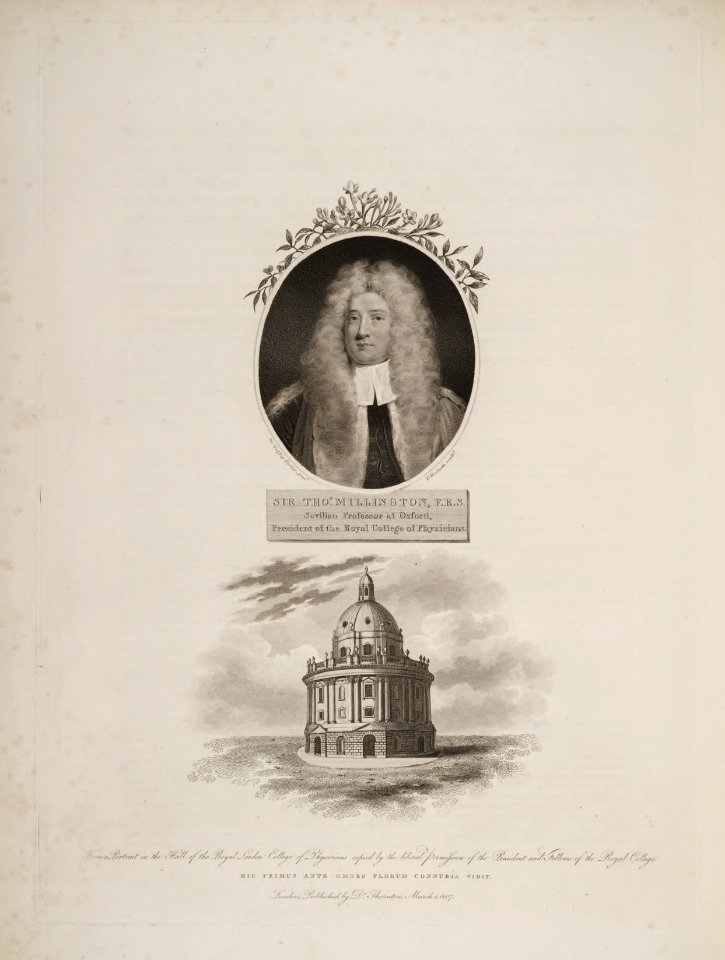 Sir Thomas Millington. Reputed discover of sexuality in plants. Thornton, R.J., New illustration of the sexual system of Carolus von Linnaeus and the temple of Flora, or garden of nature, t. (1807)