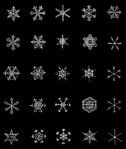 09 Snow Flakes
