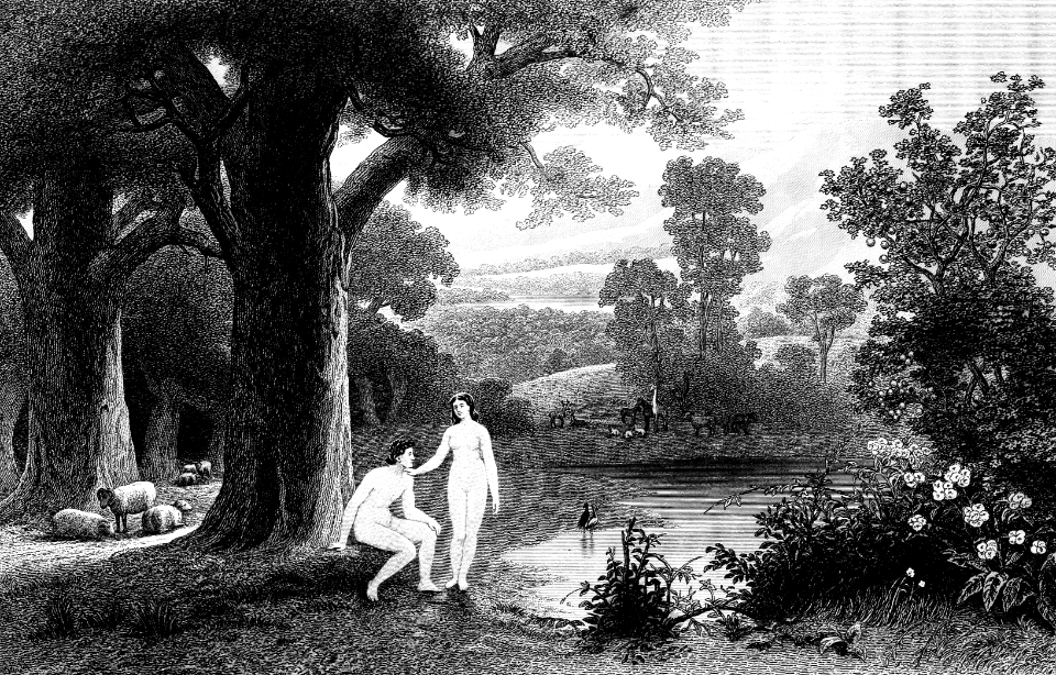 01 Genesis 02 - Adam and Eve in the Garden