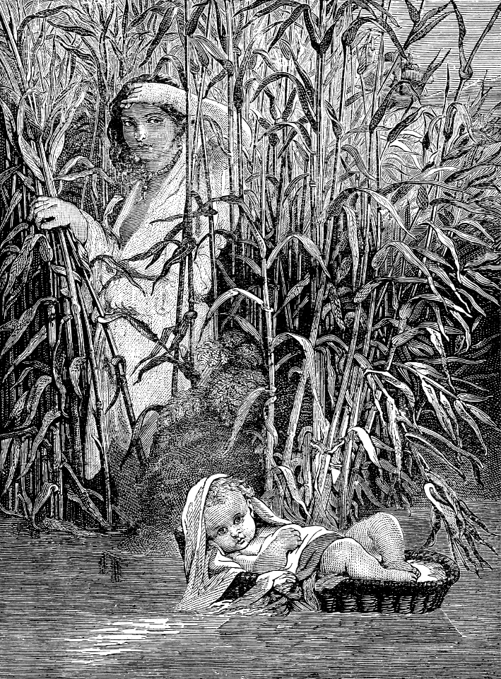 31 Miriam watches the Basket of Moses