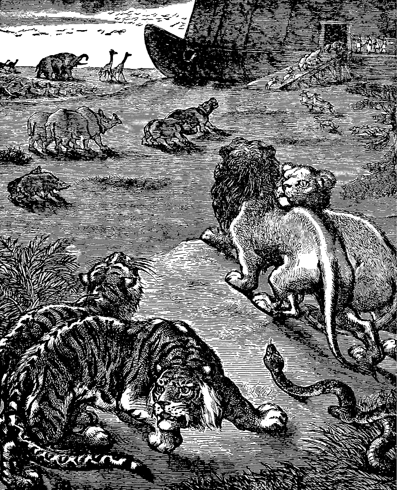 05 The Animals enter the Ark