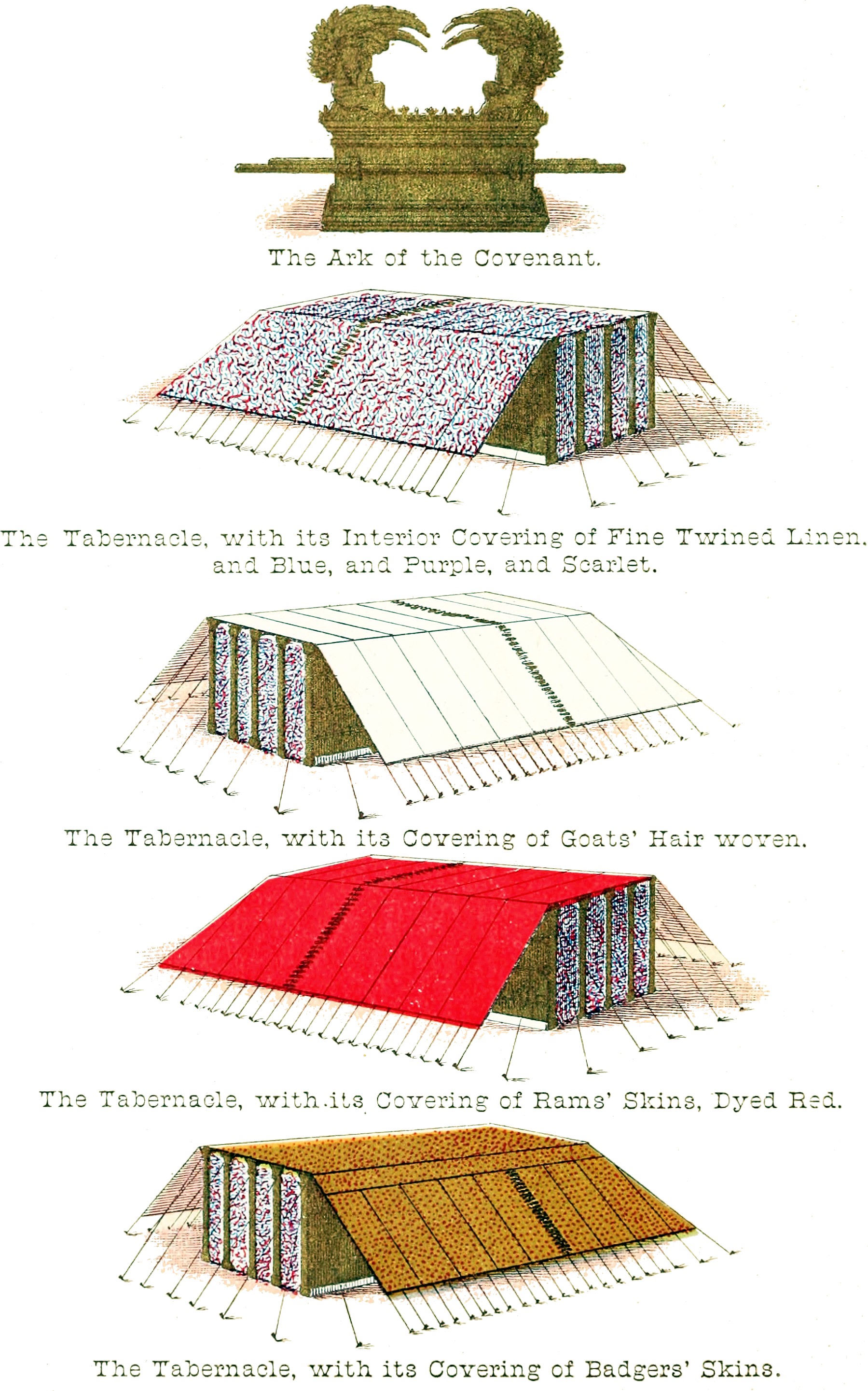 01 The Tabernacle with Various Coverings - The Ark of the Covenant (color)