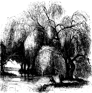 Willow Trees. Free illustration for personal and commercial use.