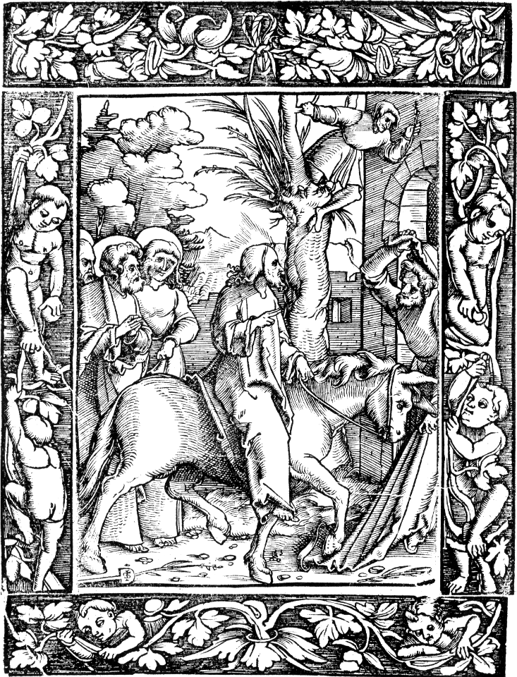 06 Triumphal Entry into Jerusalem