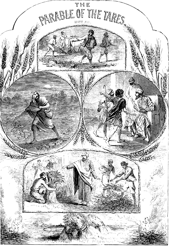 09 Matthew 13 The Parable of the Tares