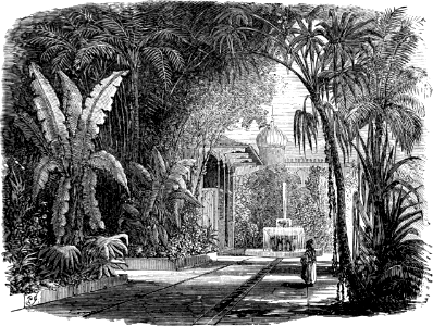 A Garden in the Holy Land