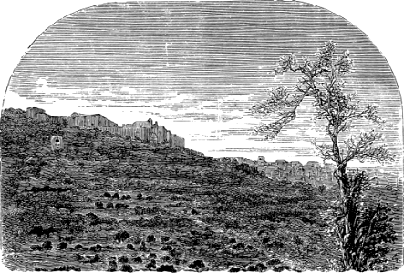 Valley of the Shepherds