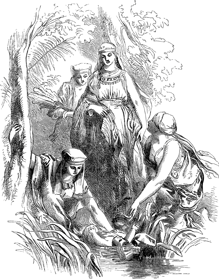05 Baby Moses found in the Basket in the Bulrushes