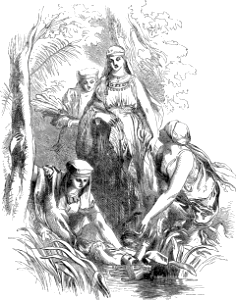 05 Baby Moses found in the Basket in the Bulrushes