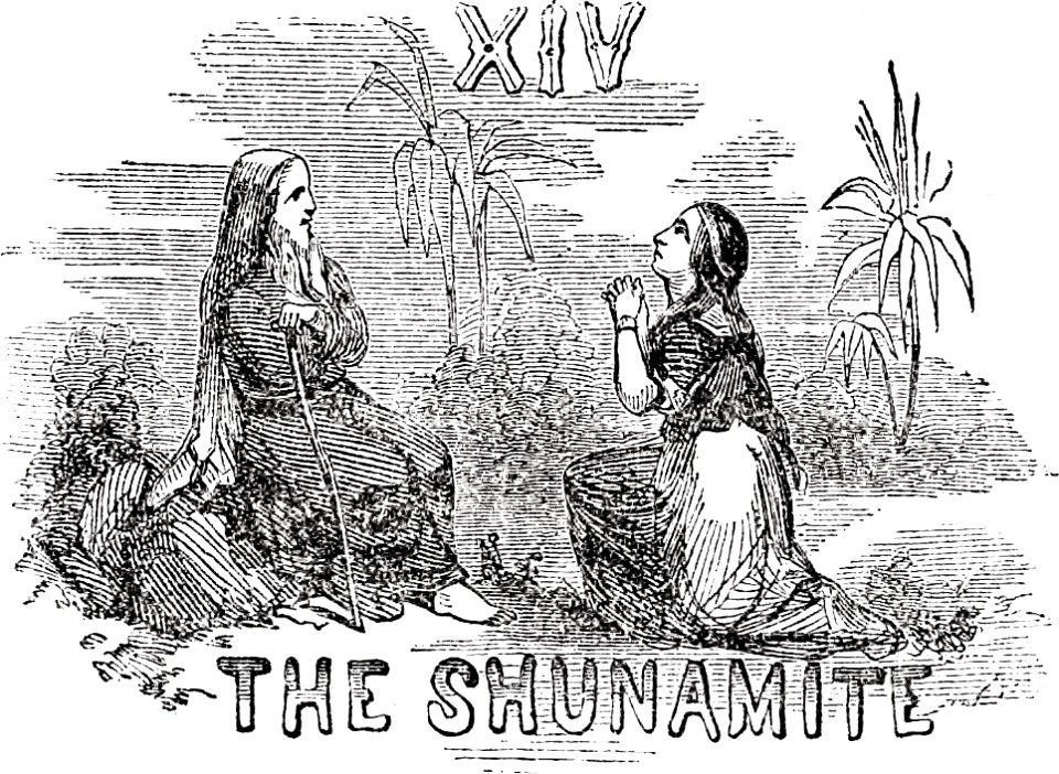 15 The Shunamite