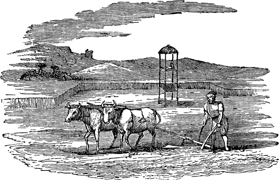 12 Ploughing with Oxen