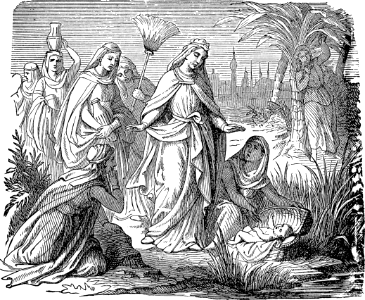 16 Baby Moses discovered in the Basket