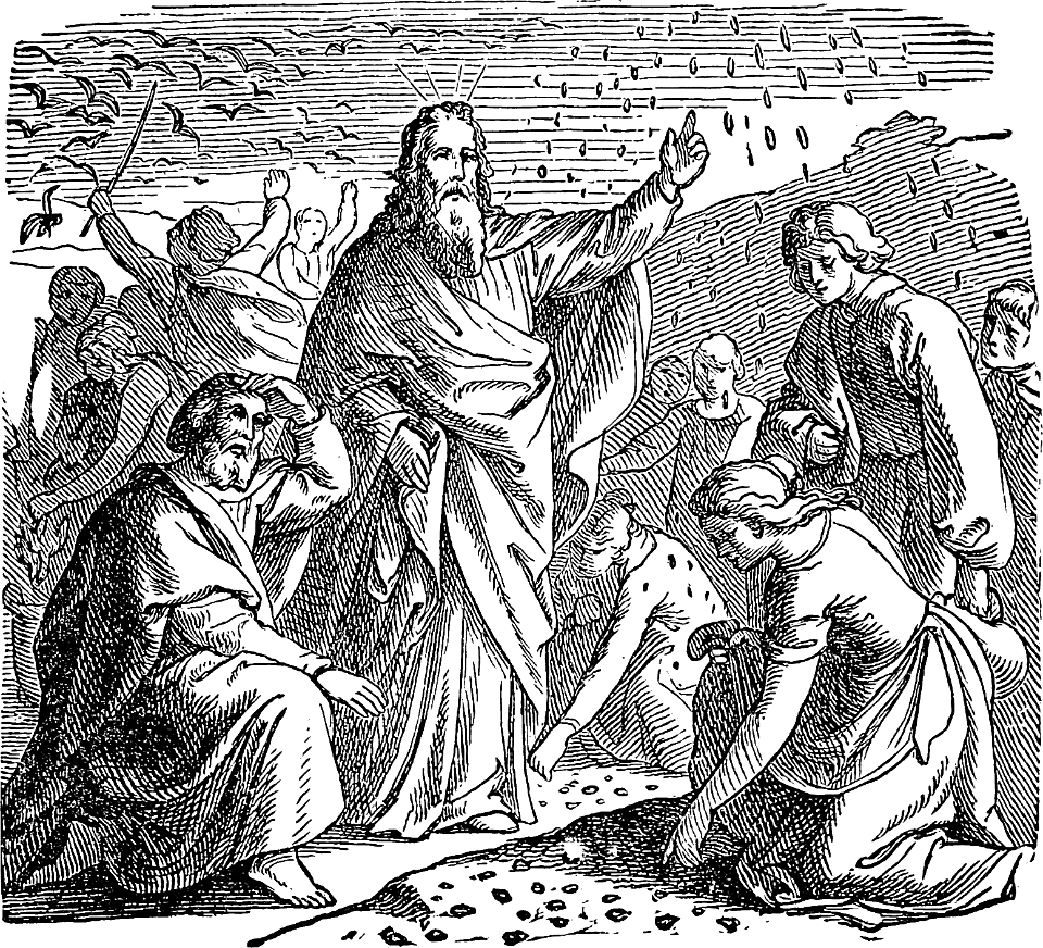 20 The Giving of Manna