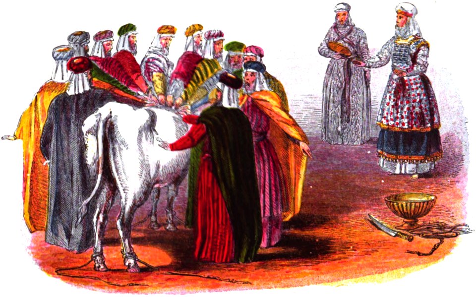 14 National Sin-of-Ignorance Offering