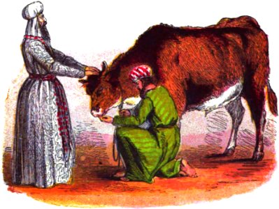 13 High Priests Sin-of-Ignorance Offering