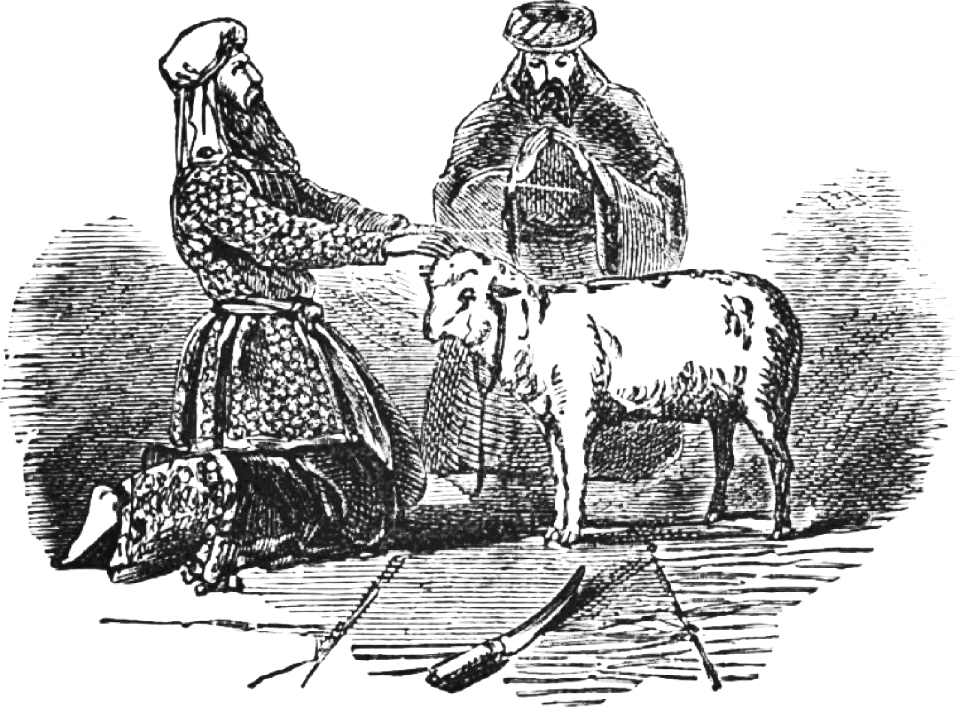 11 Sin Offering of Lamb