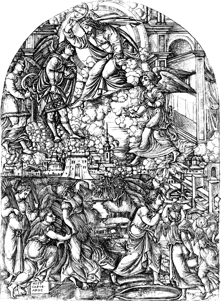 166 Revelation 14 The Winepress of the Wrath of God (Duvet)
