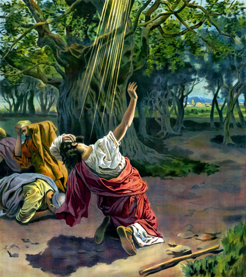 163 Jesus appears to Saul (1891)