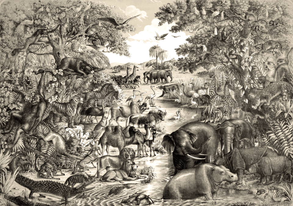Animals for Noahs Ark (Gibson & Co)