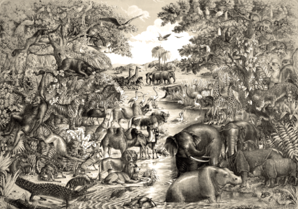 Animals for Noahs Ark (Gibson & Co)