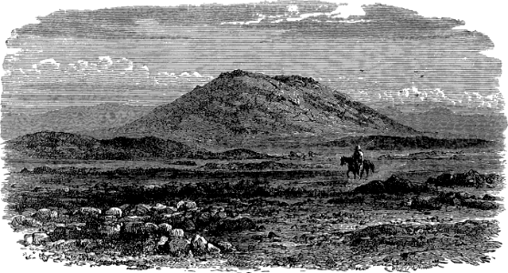Mount at Jericho