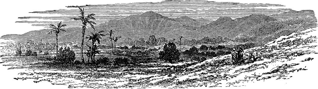 Palms and Plains of Jericho