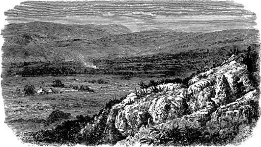 Plains of Galilee