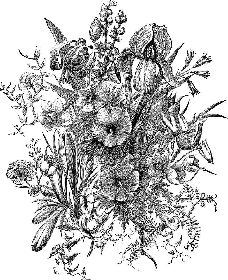 Flowers of the Field