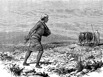 14 Parable of the Sower (a Sower went forth)