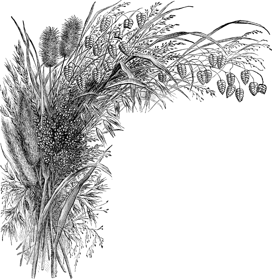 15 The Wheat and the Tares