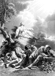 27 Mark 14 v36 The Agony in Gethsemane - Not what I will, but what You will