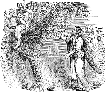 06 Jesus stopping to see Zacchaeus in the Tree